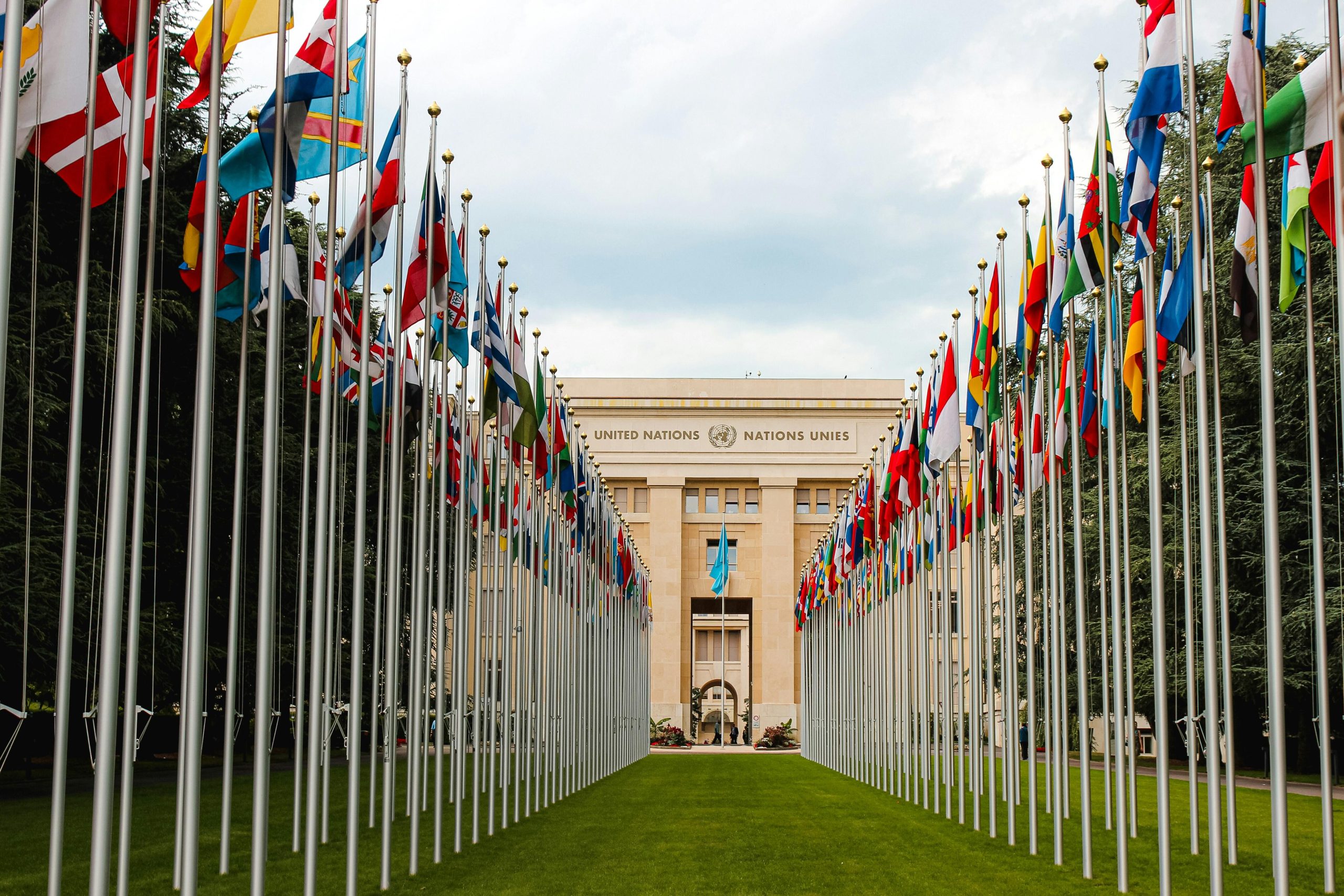 Image showing the United Nations building and multiple country flags to represent international organisations
