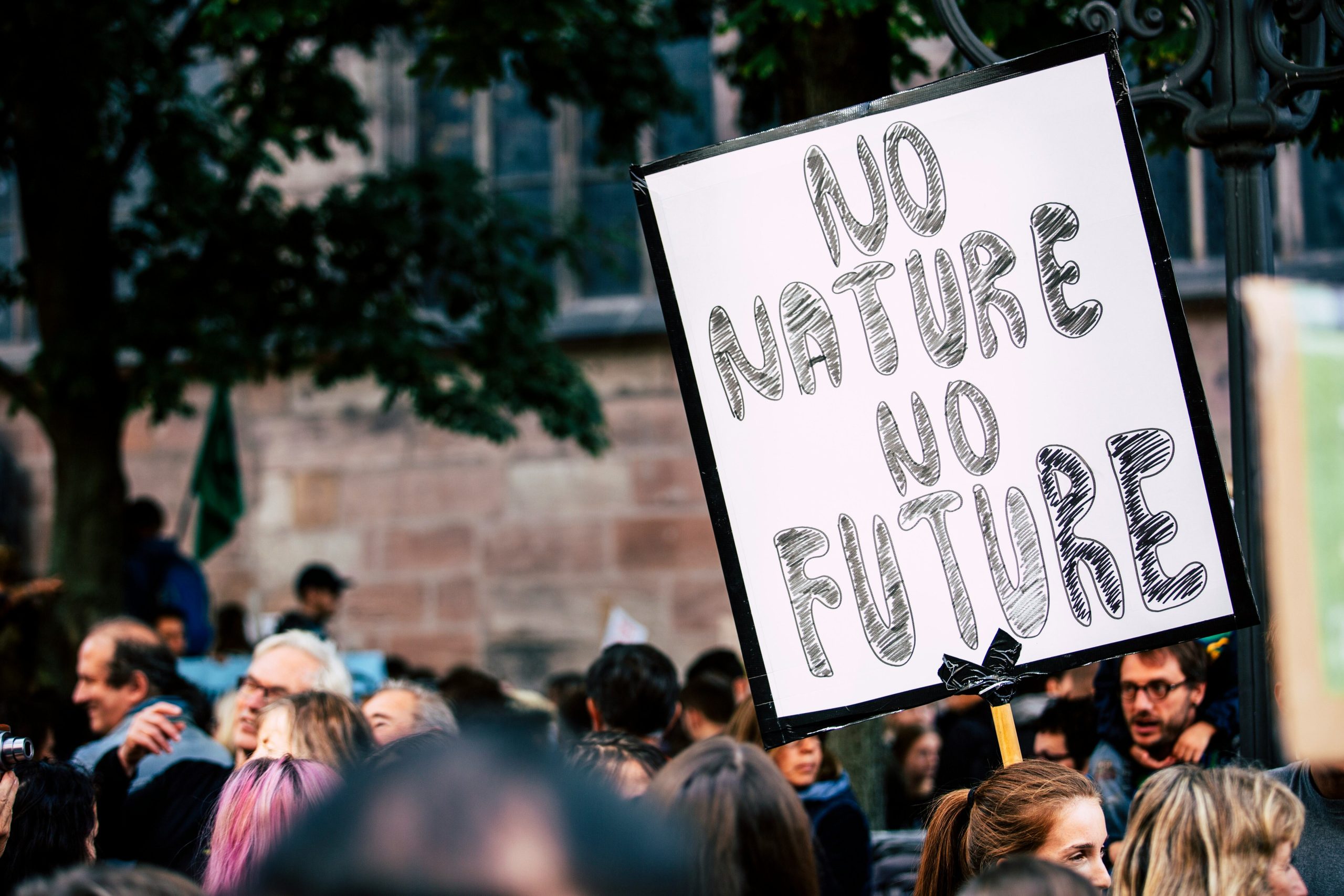 a banner can be seen amidst a protest that has the words 'no nature no future'