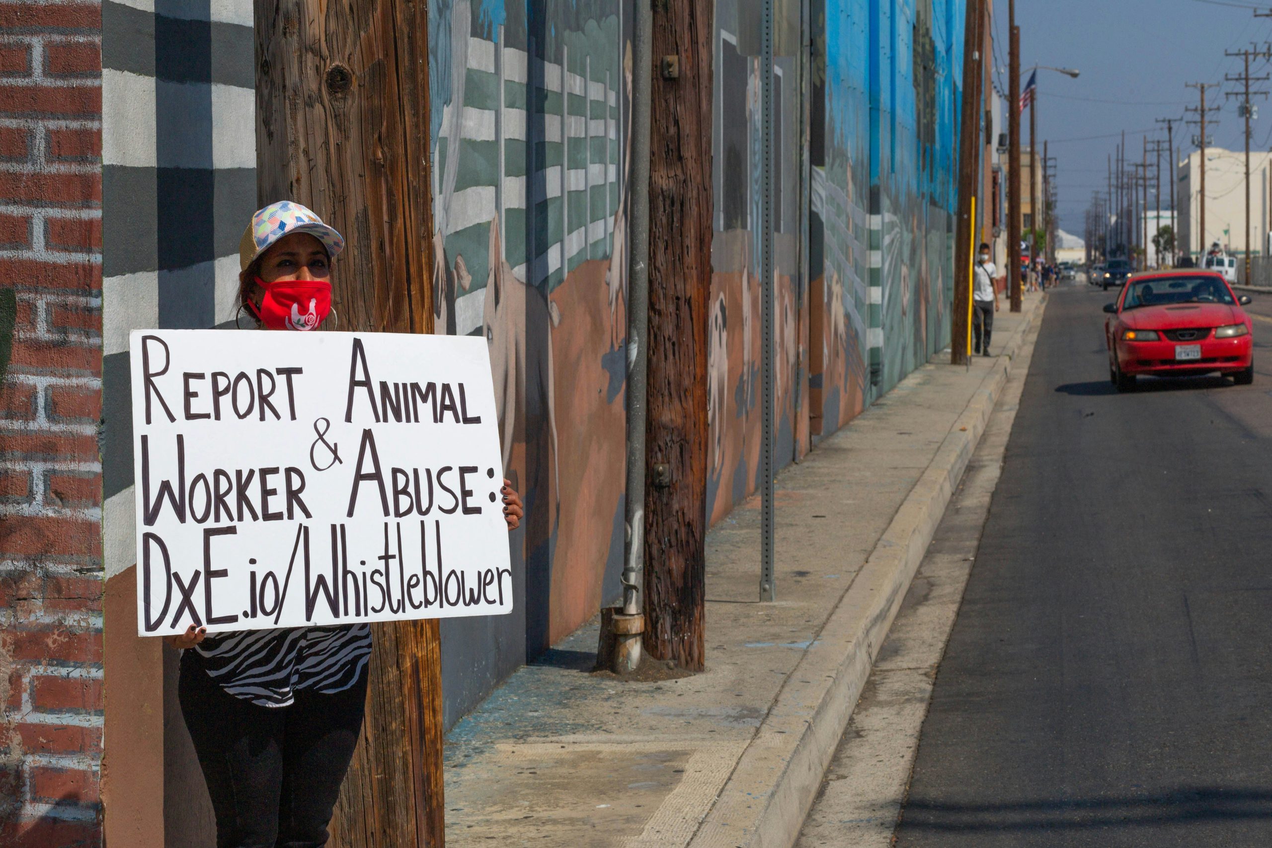 A person holds a poster stating 'report animal and worker abuse'